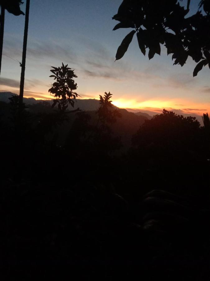 Charming View Homestay 埃拉 外观 照片