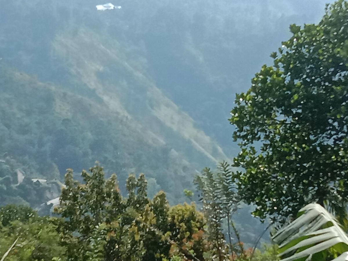 Charming View Homestay 埃拉 外观 照片