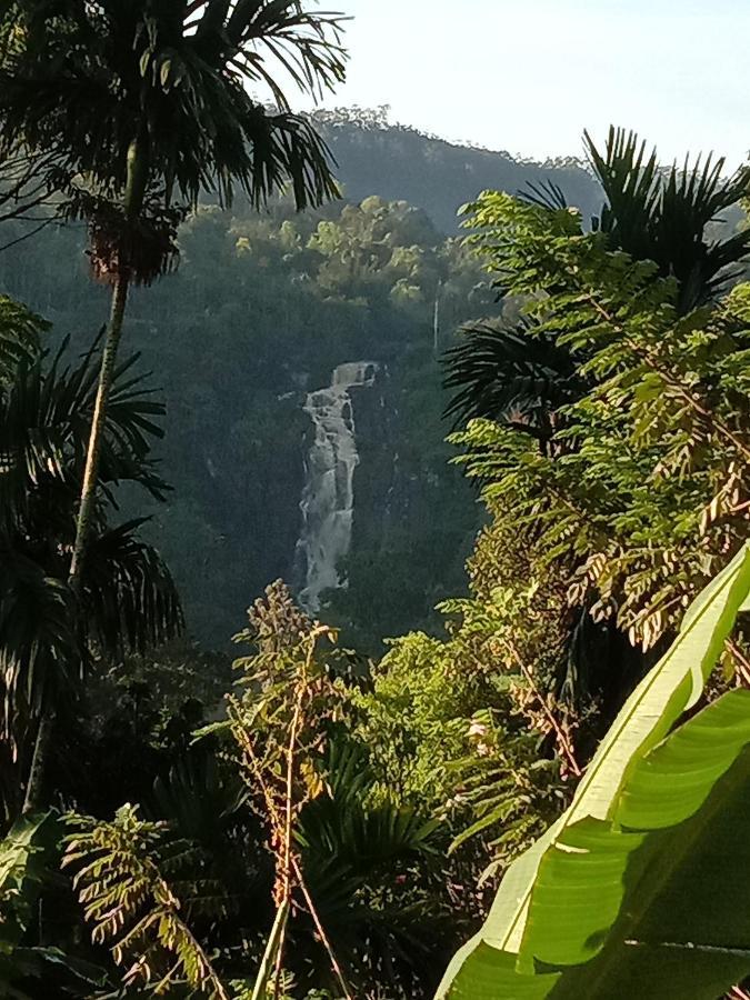 Charming View Homestay 埃拉 外观 照片