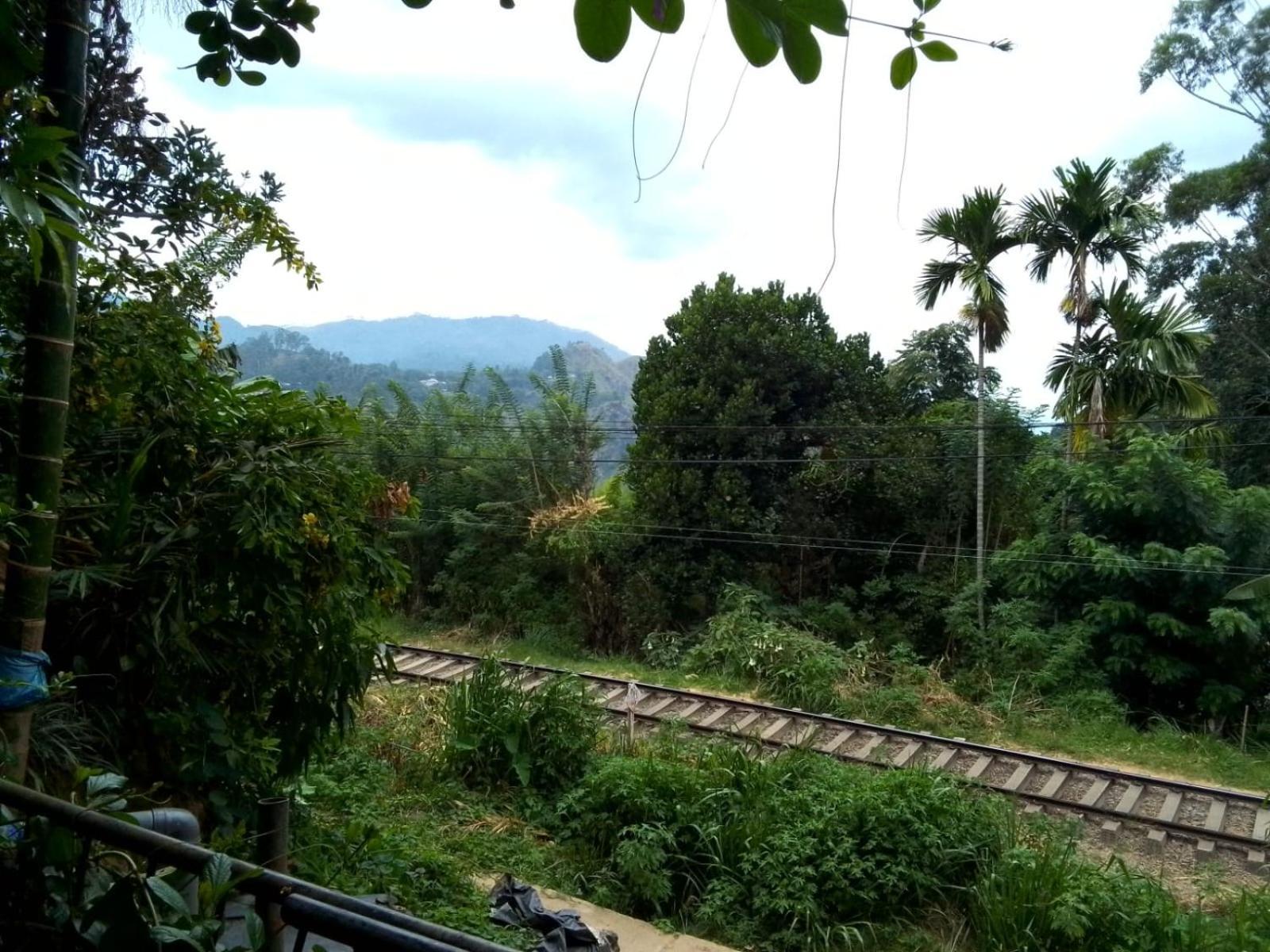Charming View Homestay 埃拉 外观 照片