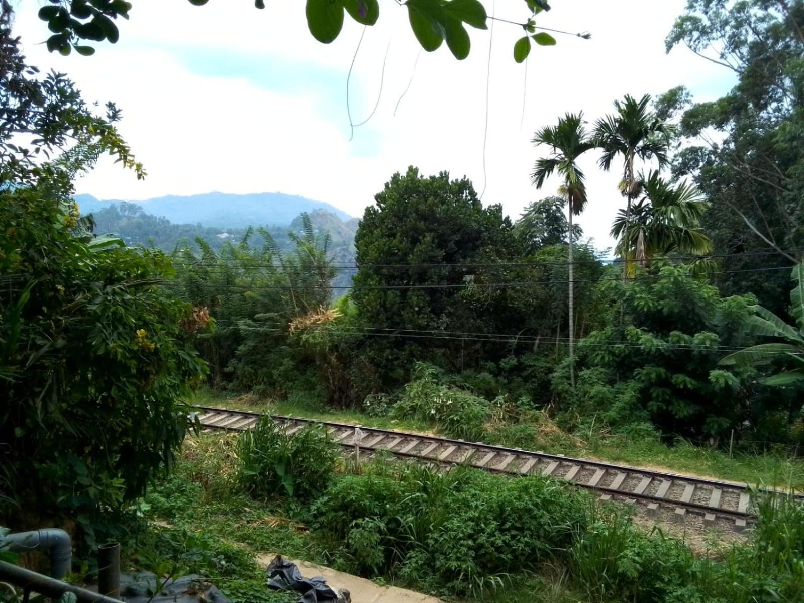 Charming View Homestay 埃拉 外观 照片