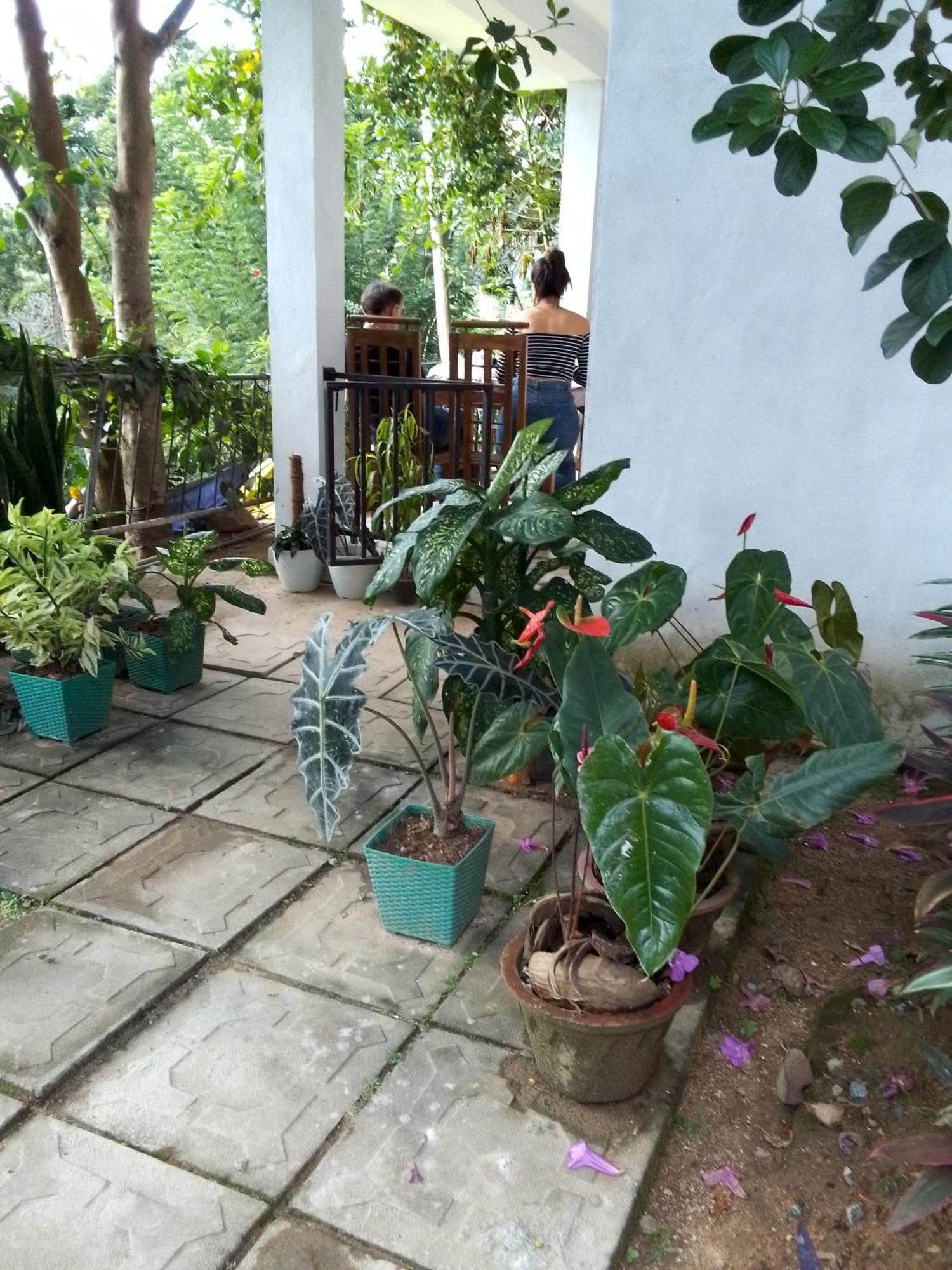 Charming View Homestay 埃拉 客房 照片
