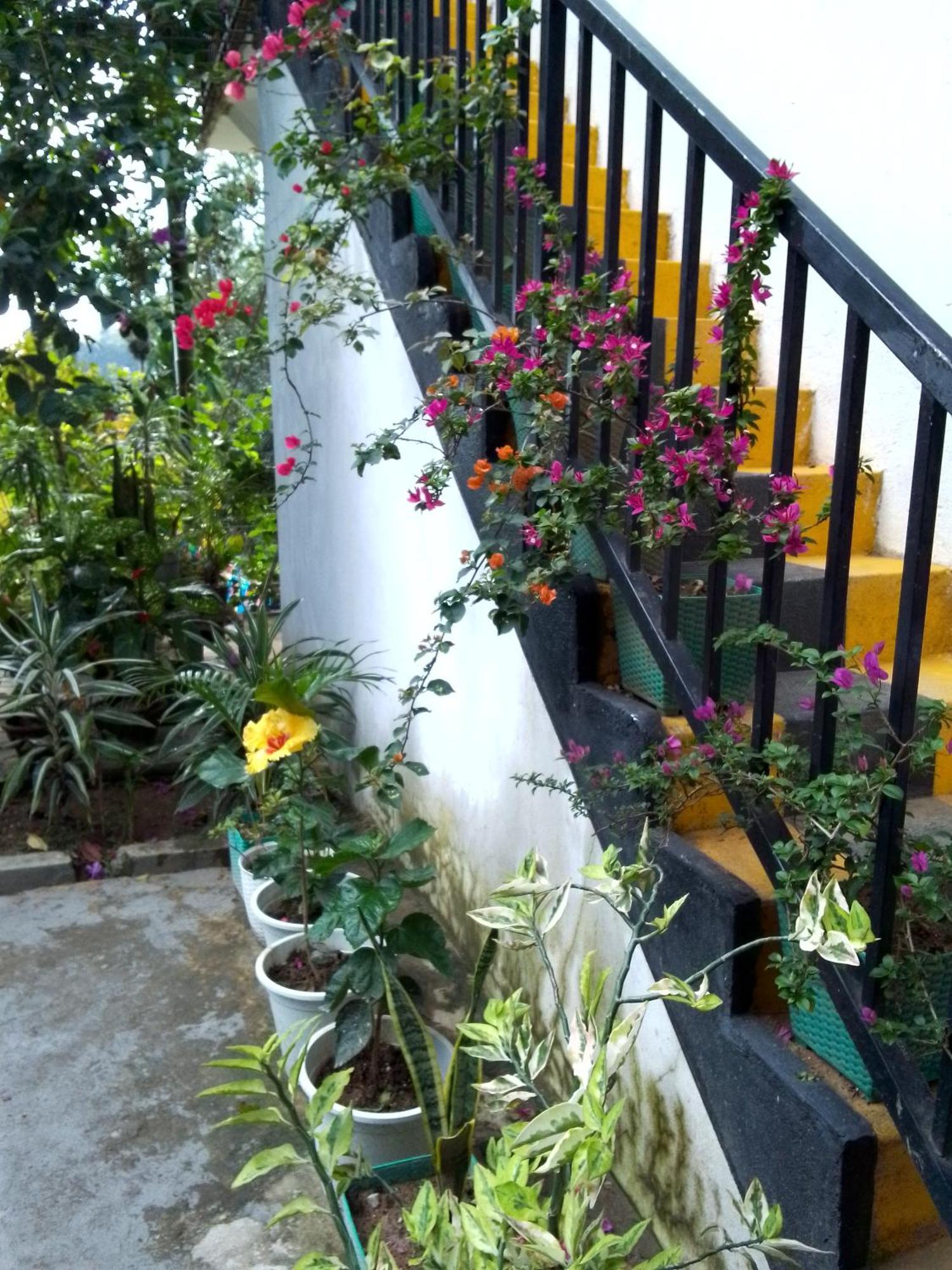 Charming View Homestay 埃拉 外观 照片